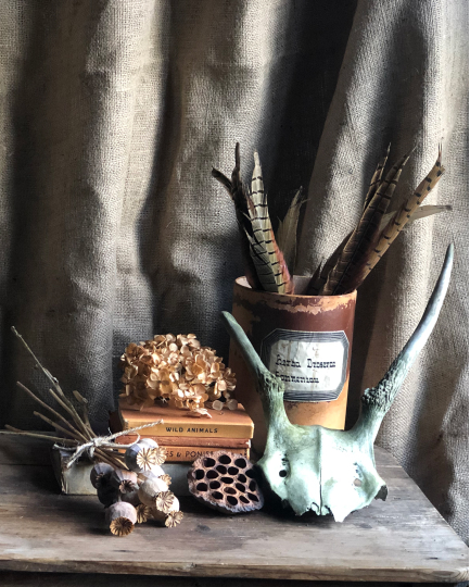 The Nature Table stories