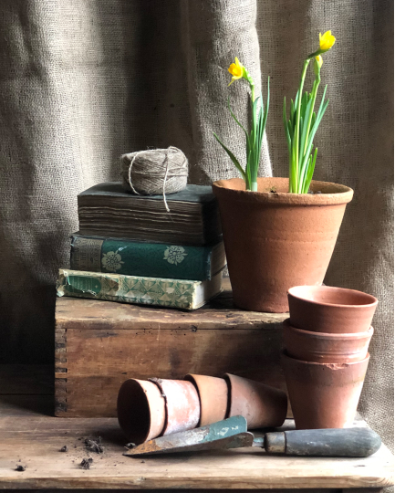 The Potting Shed stories
