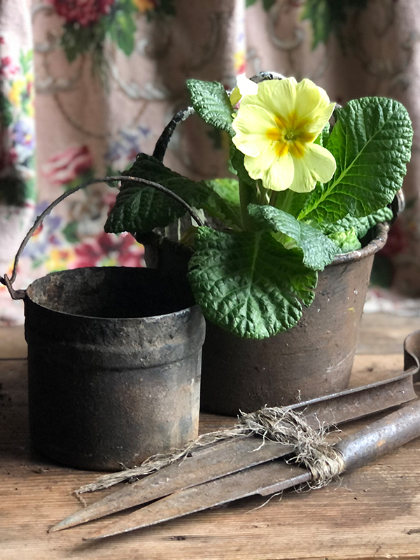 Tiny Paint Pot with flowers