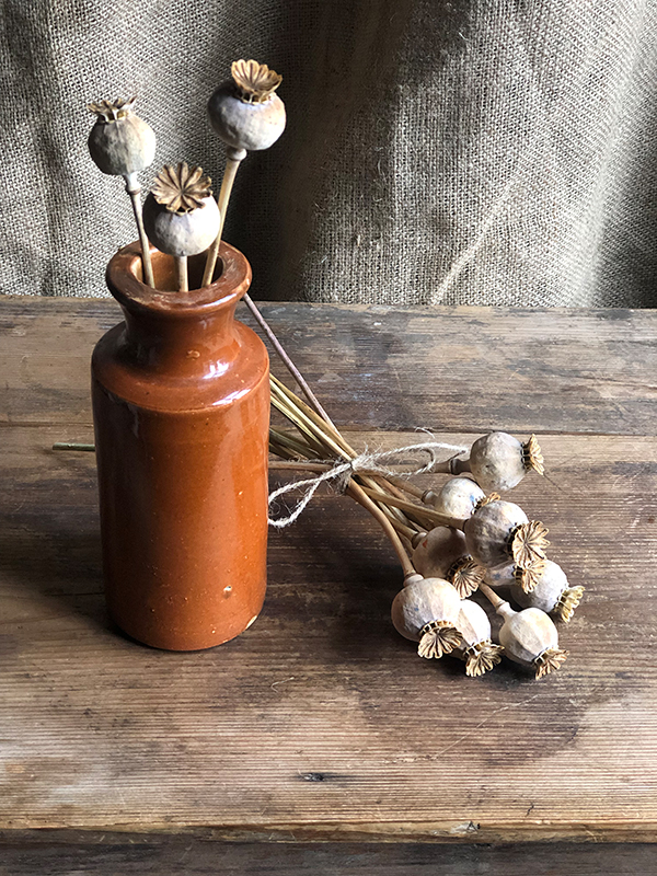 Bunch of dried poppy seed heads being used
