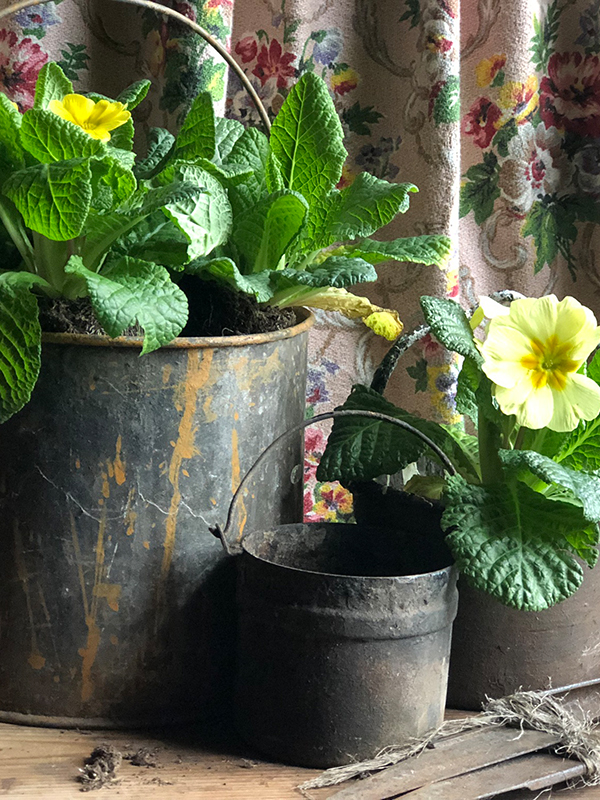 Tiny Paint Pot with flowers