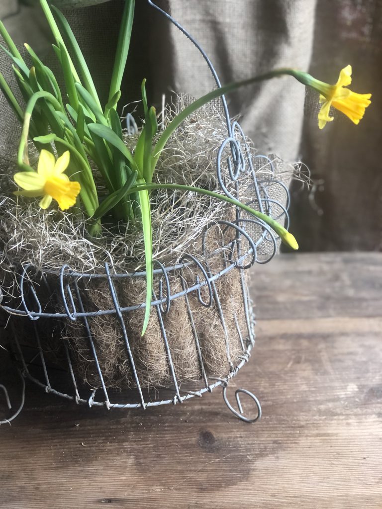 Wire strawberry basket close up