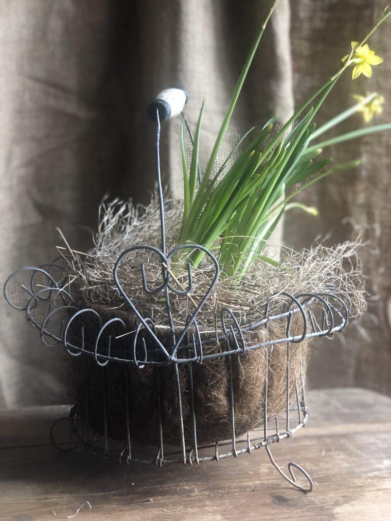 Wire strawberry basket