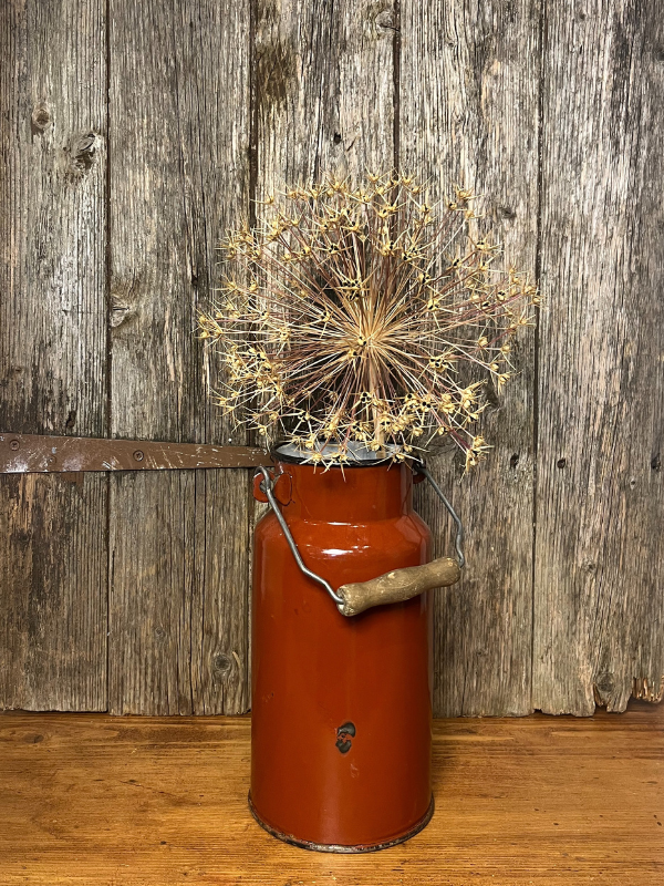 Brown enamel jug with wooden handle against a rustic wooden door with a dried allium flowerhead inside