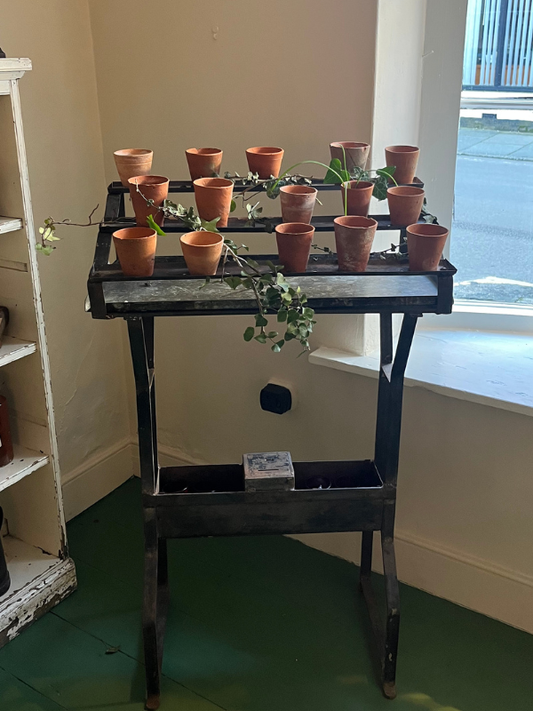 Antique church votive stand with small terracotta plant pots draped in ivy