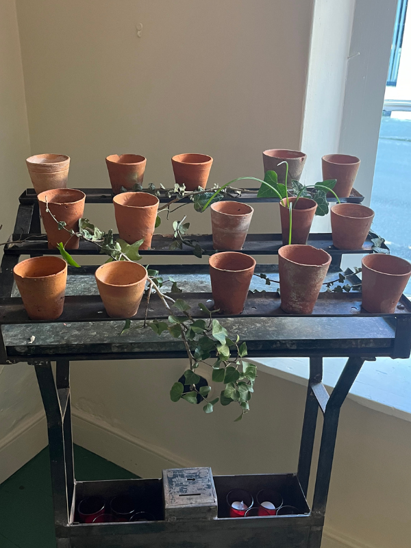 Close shot of an antique church votive stand with small terracotta plant pots draped in ivy