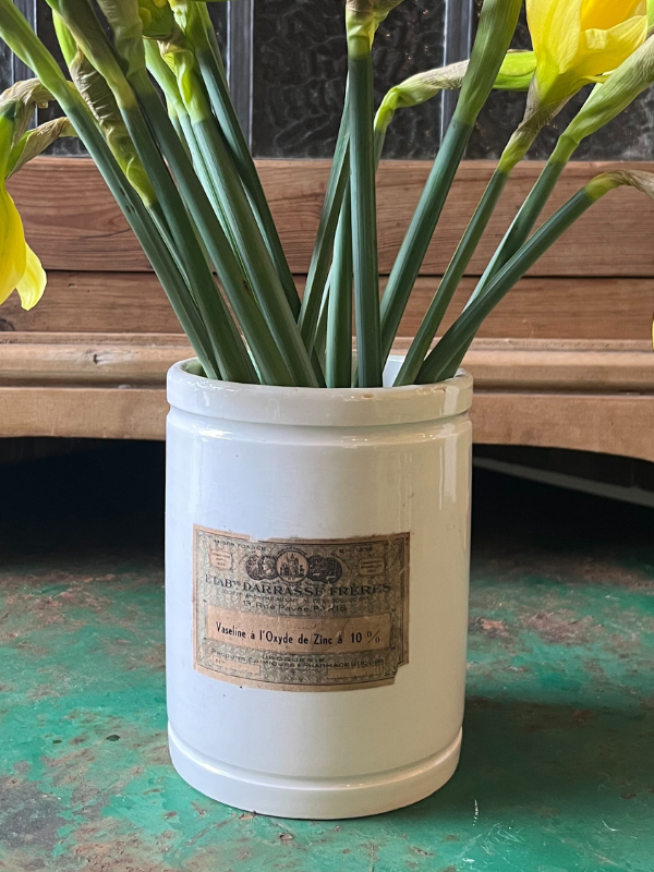 Close view of a white French Vaseline pot with daffodils showing brown paper label with lettering