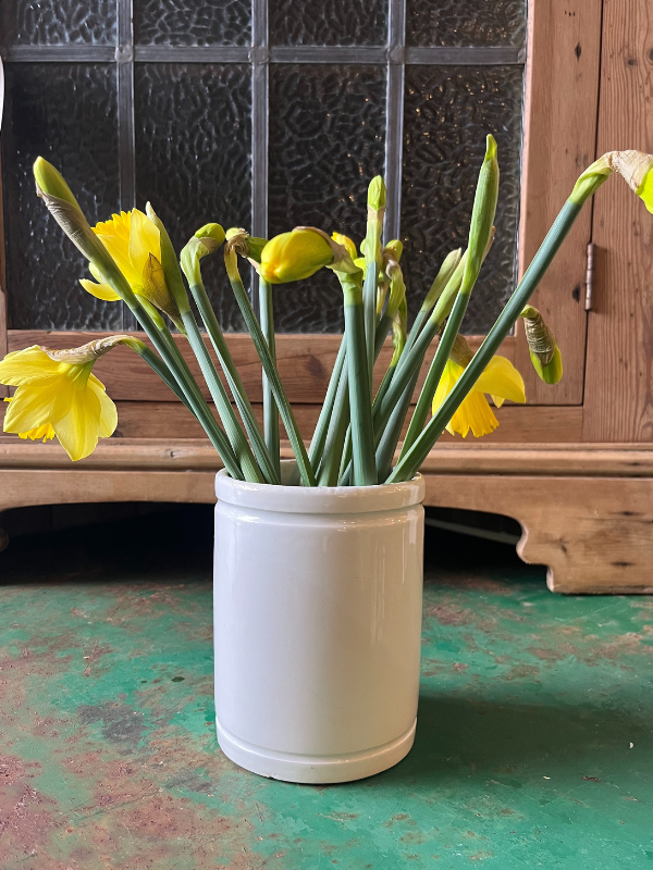 Reverse view of a white French Vaseline pot with daffodils