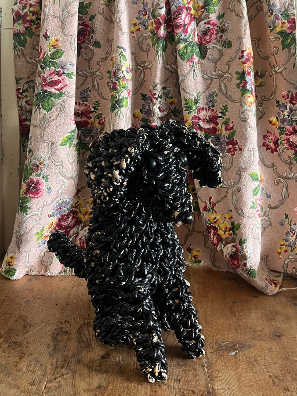 Black rope poodle dog on a wooden table with a floral fabric background